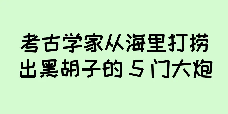 考古学家从海里打捞出黑胡子的 5 门大炮