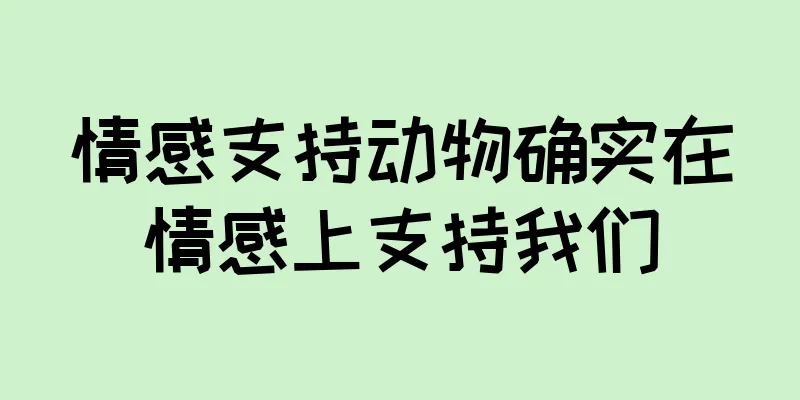 情感支持动物确实在情感上支持我们