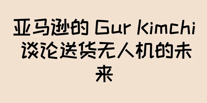 亚马逊的 Gur Kimchi 谈论送货无人机的未来
