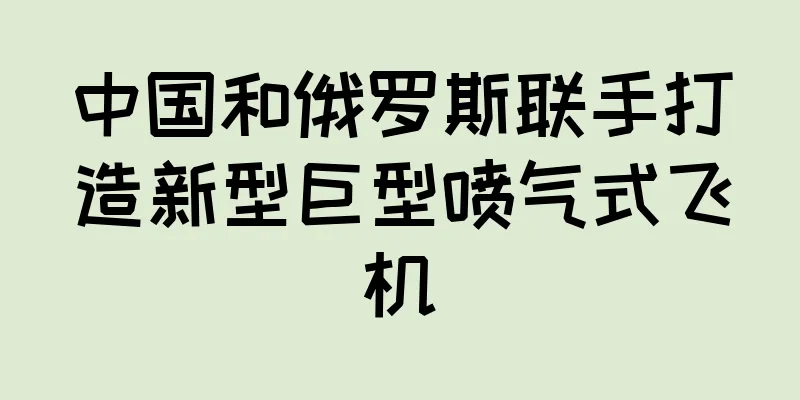 中国和俄罗斯联手打造新型巨型喷气式飞机