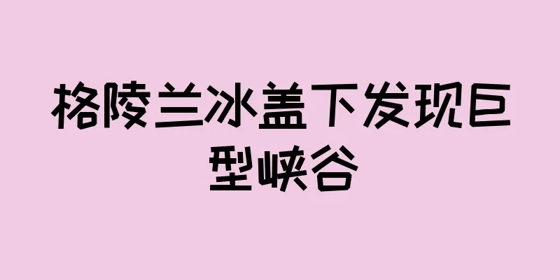 格陵兰冰盖下发现巨型峡谷