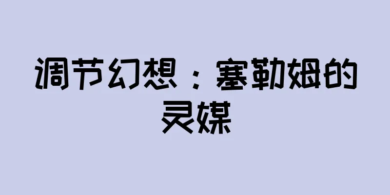 调节幻想：塞勒姆的灵媒