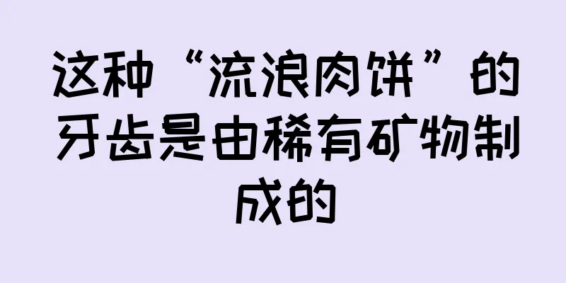 这种“流浪肉饼”的牙齿是由稀有矿物制成的