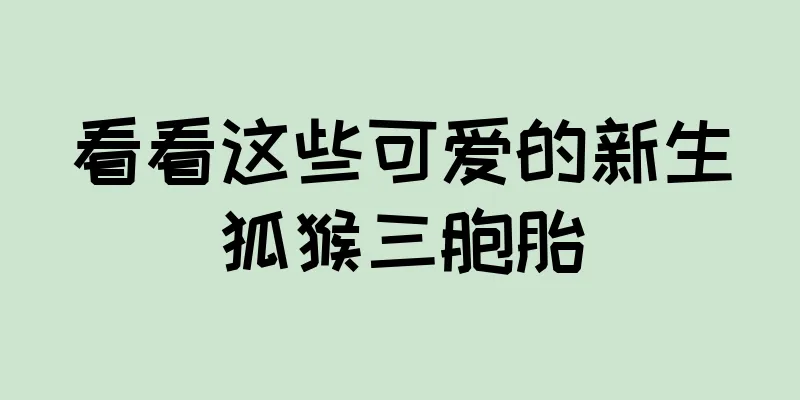 看看这些可爱的新生狐猴三胞胎