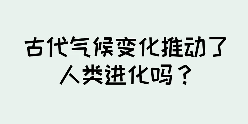 古代气候变化推动了人类进化吗？