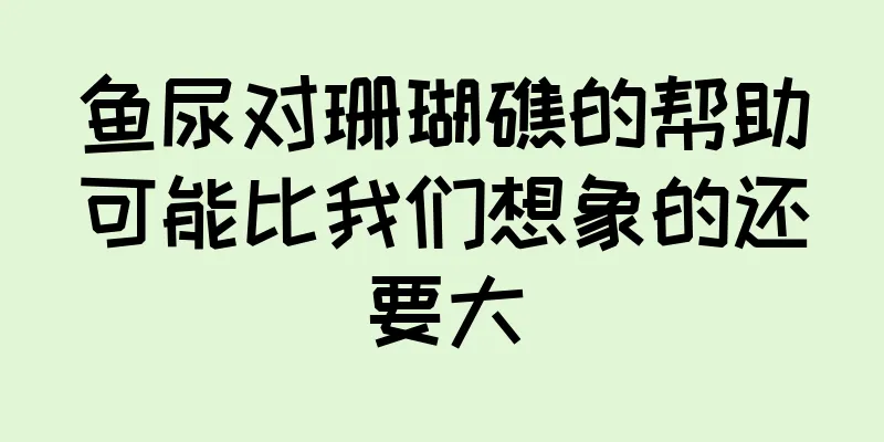 鱼尿对珊瑚礁的帮助可能比我们想象的还要大