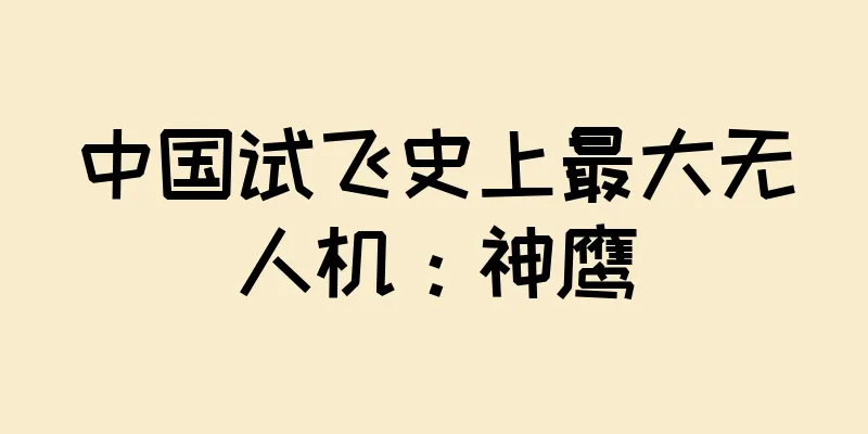 中国试飞史上最大无人机：神鹰