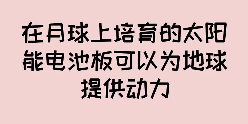 在月球上培育的太阳能电池板可以为地球提供动力