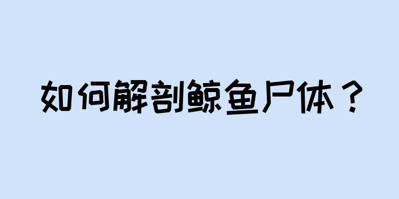 如何解剖鲸鱼尸体？