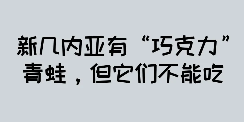 新几内亚有“巧克力”青蛙，但它们不能吃