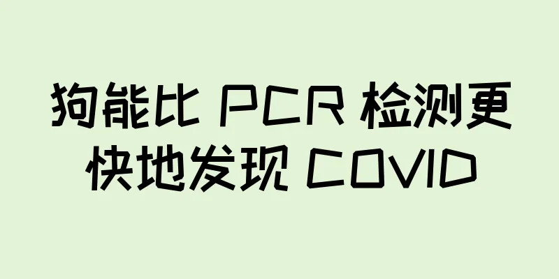 狗能比 PCR 检测更快地发现 COVID
