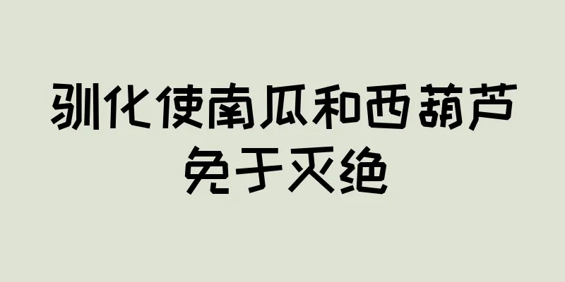 驯化使南瓜和西葫芦免于灭绝