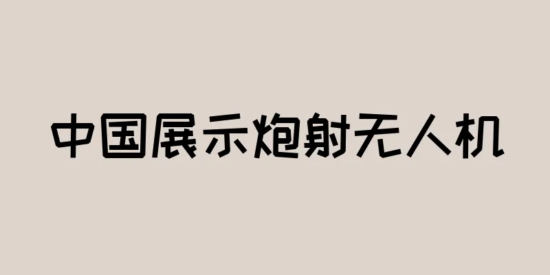 中国展示炮射无人机