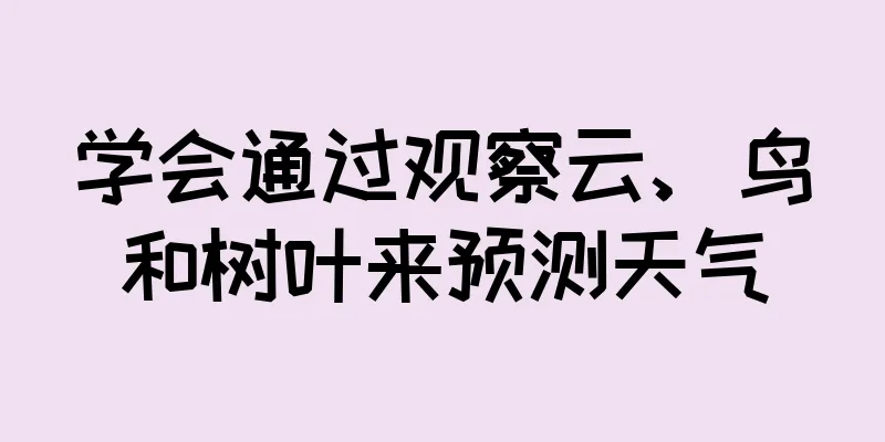 学会通过观察云、鸟和树叶来预测天气