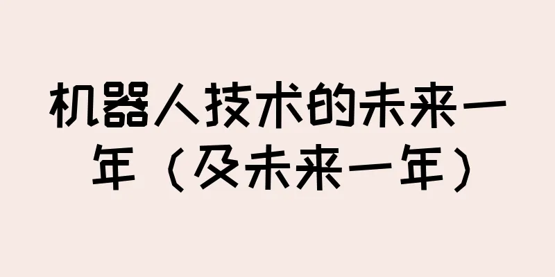 机器人技术的未来一年（及未来一年）