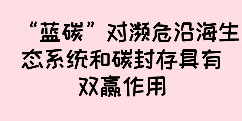 “蓝碳”对濒危沿海生态系统和碳封存具有双赢作用