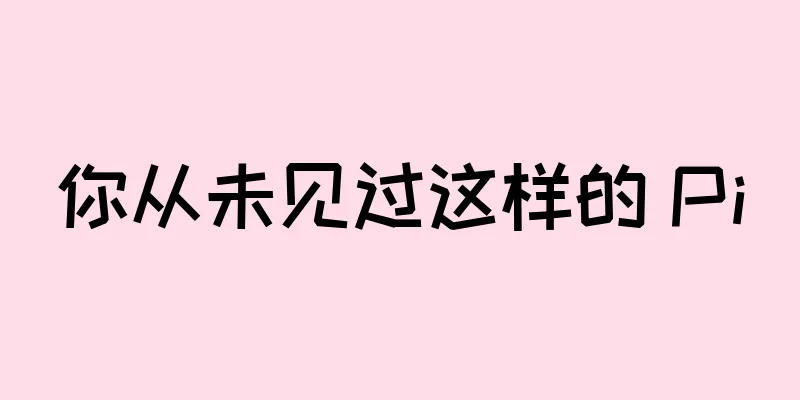 你从未见过这样的 Pi