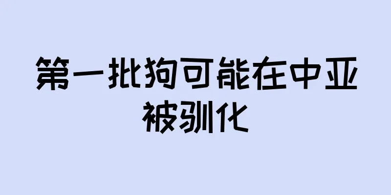 第一批狗可能在中亚被驯化