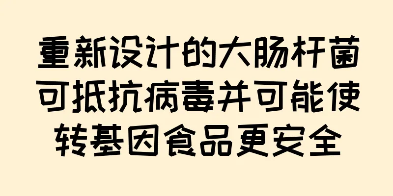 重新设计的大肠杆菌可抵抗病毒并可能使转基因食品更安全