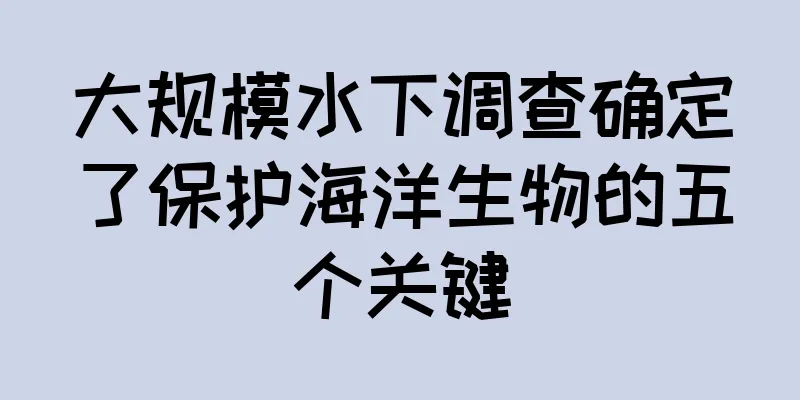大规模水下调查确定了保护海洋生物的五个关键