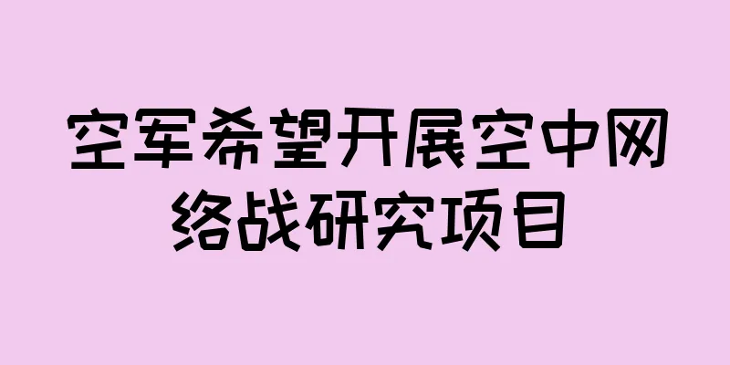 空军希望开展空中网络战研究项目