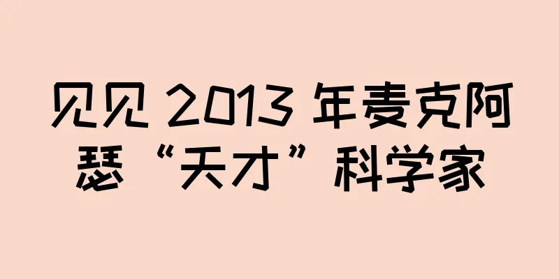 见见 2013 年麦克阿瑟“天才”科学家