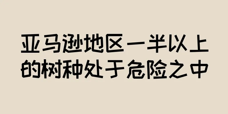 亚马逊地区一半以上的树种处于危险之中