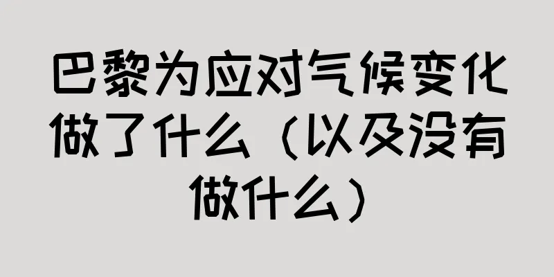 巴黎为应对气候变化做了什么（以及没有做什么）