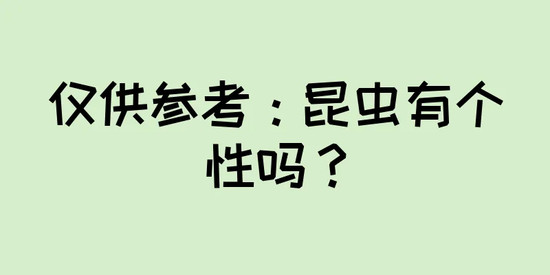 仅供参考：昆虫有个性吗？