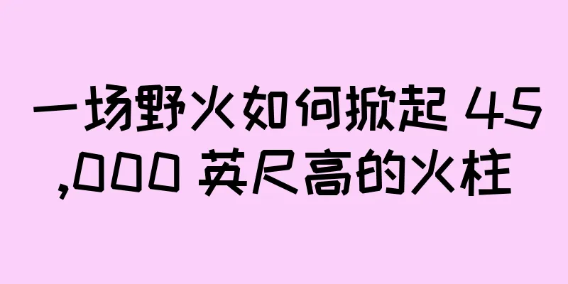 一场野火如何掀起 45,000 英尺高的火柱