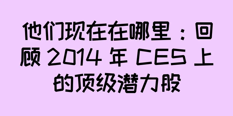他们现在在哪里：回顾 2014 年 CES 上的顶级潜力股