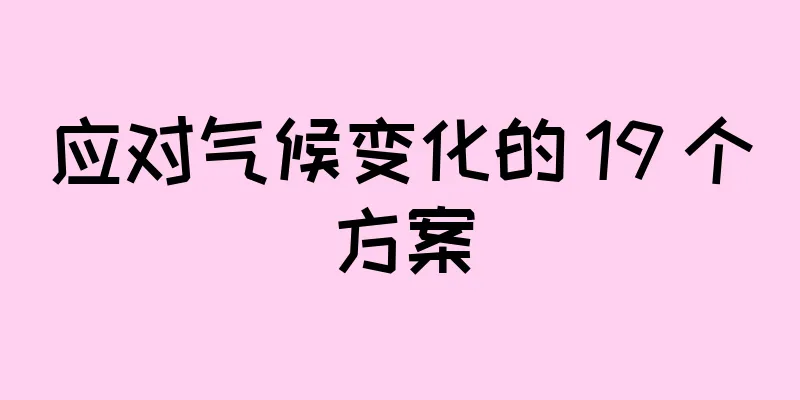 应对气候变化的 19 个方案