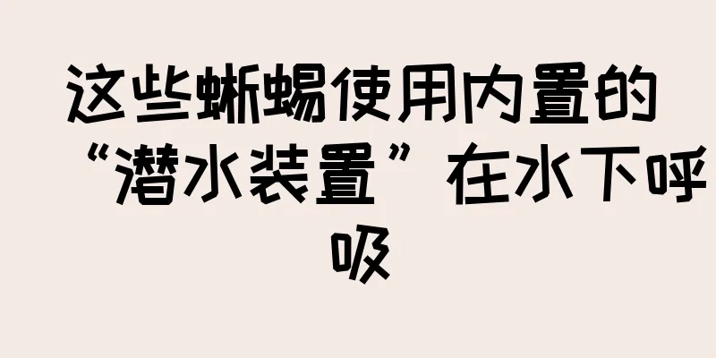 这些蜥蜴使用内置的“潜水装置”在水下呼吸