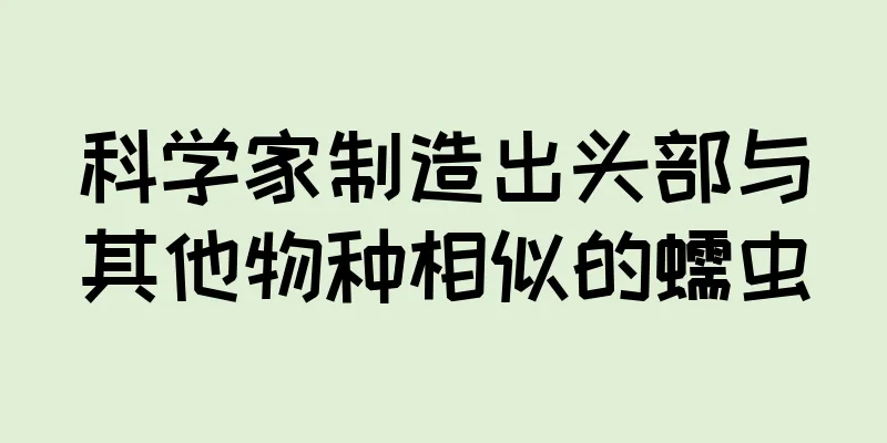 科学家制造出头部与其他物种相似的蠕虫