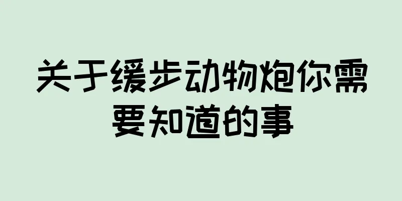 关于缓步动物炮你需要知道的事