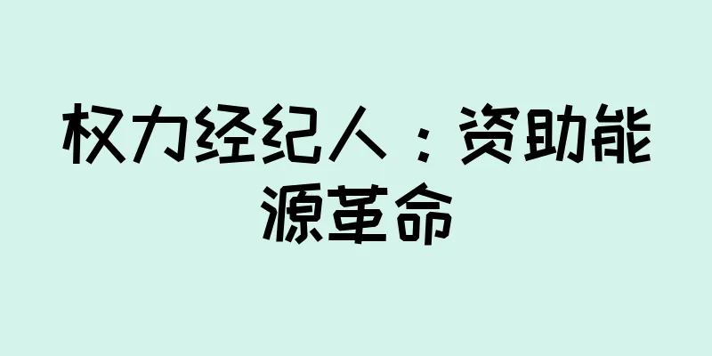 权力经纪人：资助能源革命