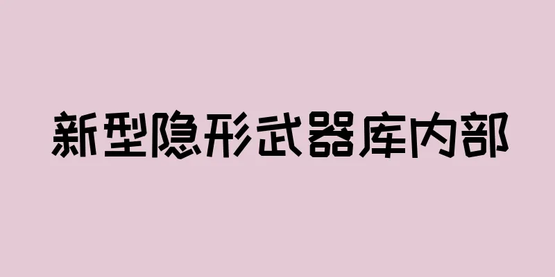 新型隐形武器库内部