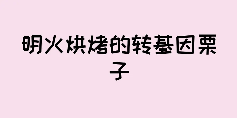 明火烘烤的转基因栗子