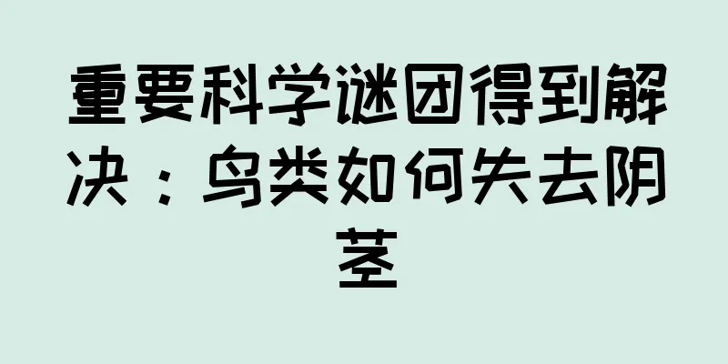 重要科学谜团得到解决：鸟类如何失去阴茎