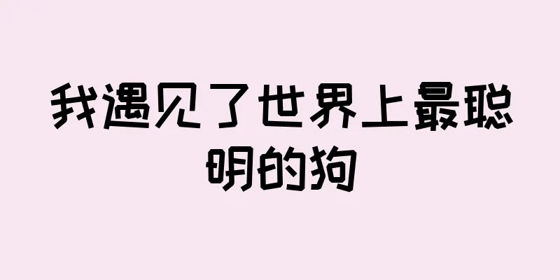 我遇见了世界上最聪明的狗