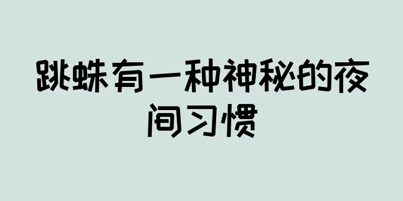跳蛛有一种神秘的夜间习惯