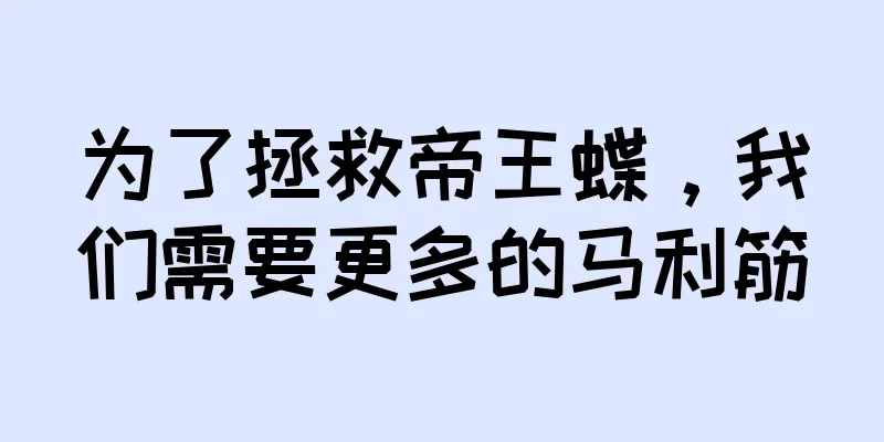 为了拯救帝王蝶，我们需要更多的马利筋