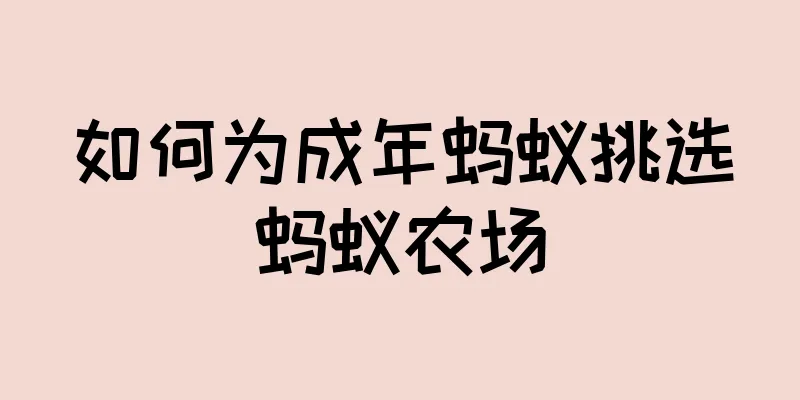 如何为成年蚂蚁挑选蚂蚁农场