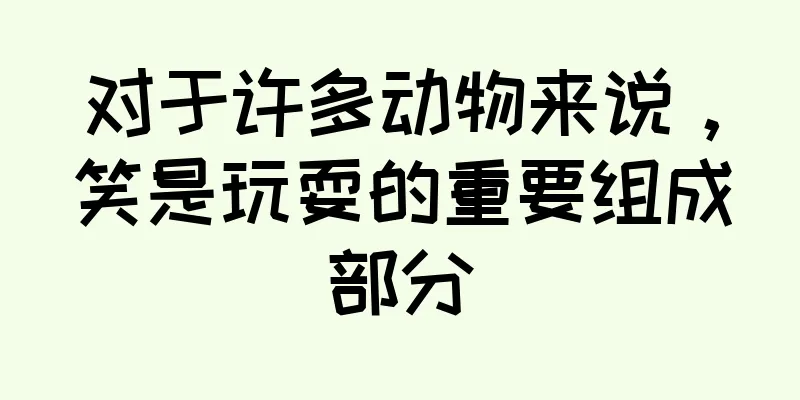 对于许多动物来说，笑是玩耍的重要组成部分