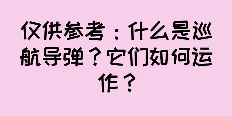 仅供参考：什么是巡航导弹？它们如何运作？