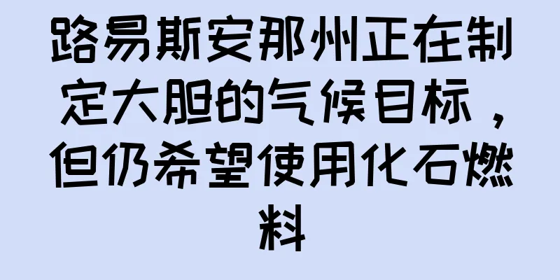 路易斯安那州正在制定大胆的气候目标，但仍希望使用化石燃料