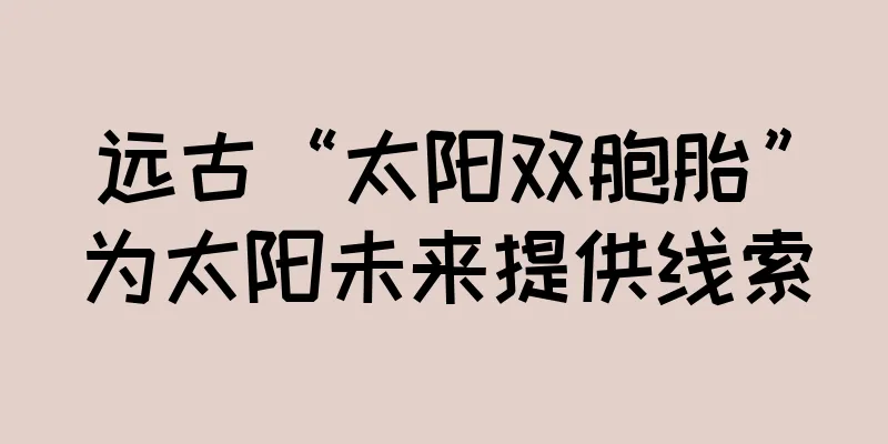 远古“太阳双胞胎”为太阳未来提供线索