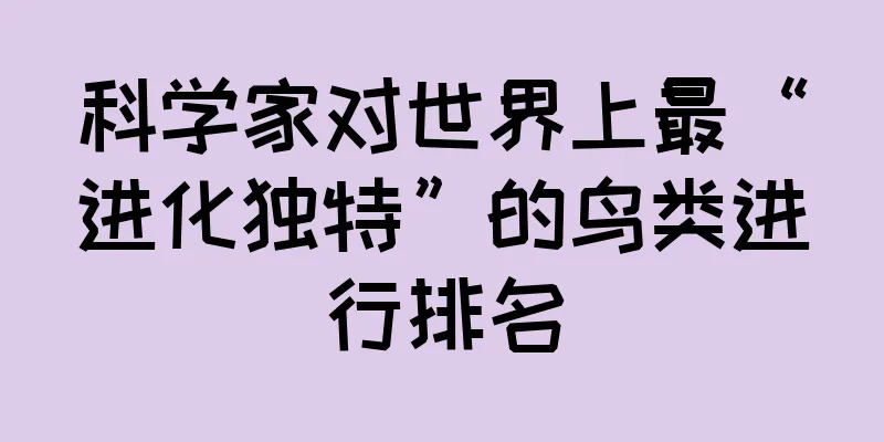 科学家对世界上最“进化独特”的鸟类进行排名