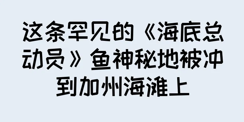 这条罕见的《海底总动员》鱼神秘地被冲到加州海滩上
