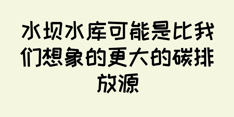 水坝水库可能是比我们想象的更大的碳排放源